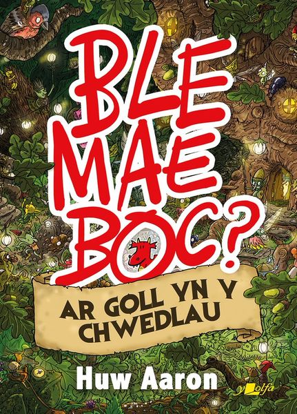 Boc ac ar goll unwaith eto mewn llyfr newydd gan Huw Aaron